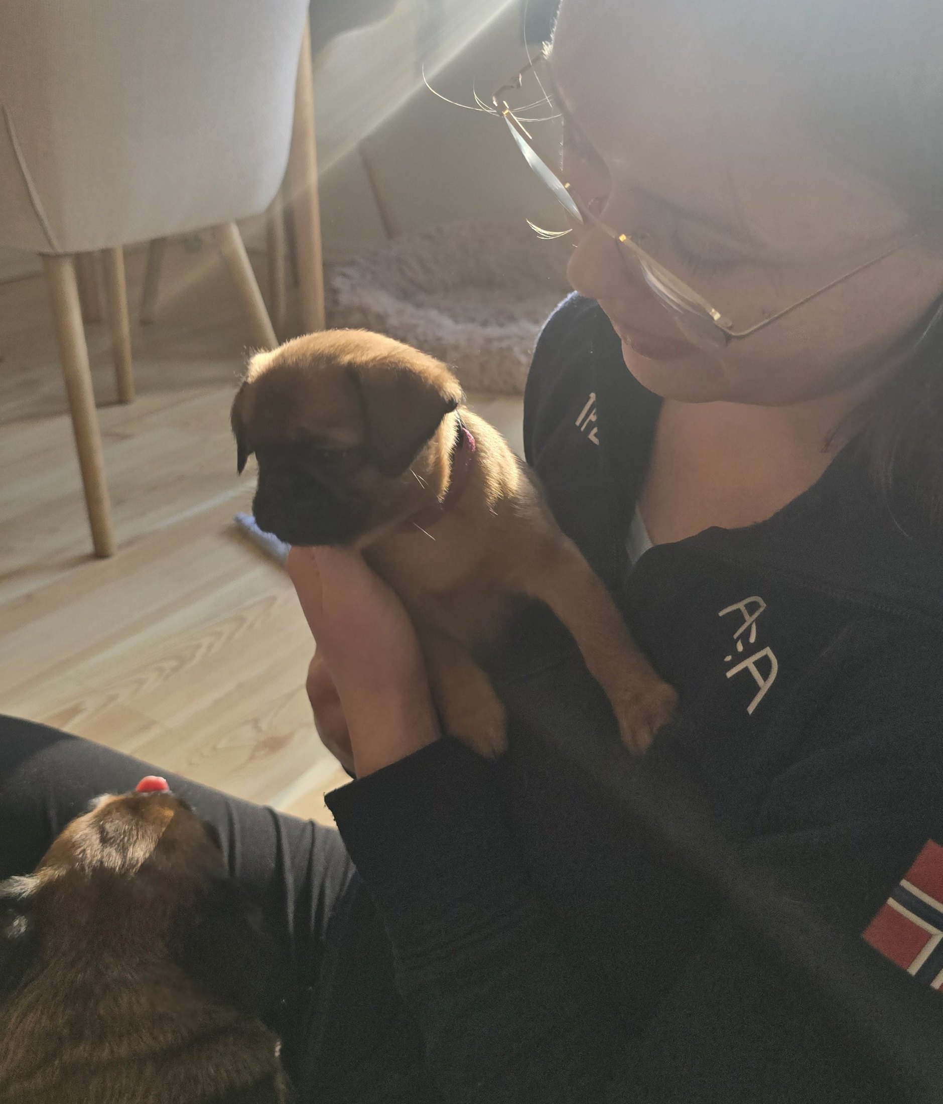 The one with the first meeting